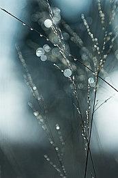 GG全能王挑战赛：四大明星战队已集结，谁是真正全能王！